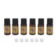 thumbnail image 1 of 6 piezas 10 ml de aceite esencial de jengibre para adelgazar, reafirmar la piel, relajar los músculos, adelgazar el cuerpo, aceite de masaje, 1 of 10