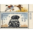 thumbnail image 2 of Art.com National Postal Museum: 3 Dollar Duck Stamp Remarque Art Print, 16" x 12", 2 of 4