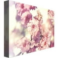 thumbnail image 2 of Trademark Fine Art "Spring Melody" Canvas Art by Beata Czyzowska, 2 of 2