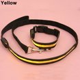 thumbnail image 4 of HEVIRGO Mode LED Chien Chien Nuit Sécurité Collier Clignotant Éclairent Bande de Col en Nylon, 4 of 11