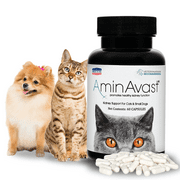 AminAvast Kidney Support for Cats (60 capsules)