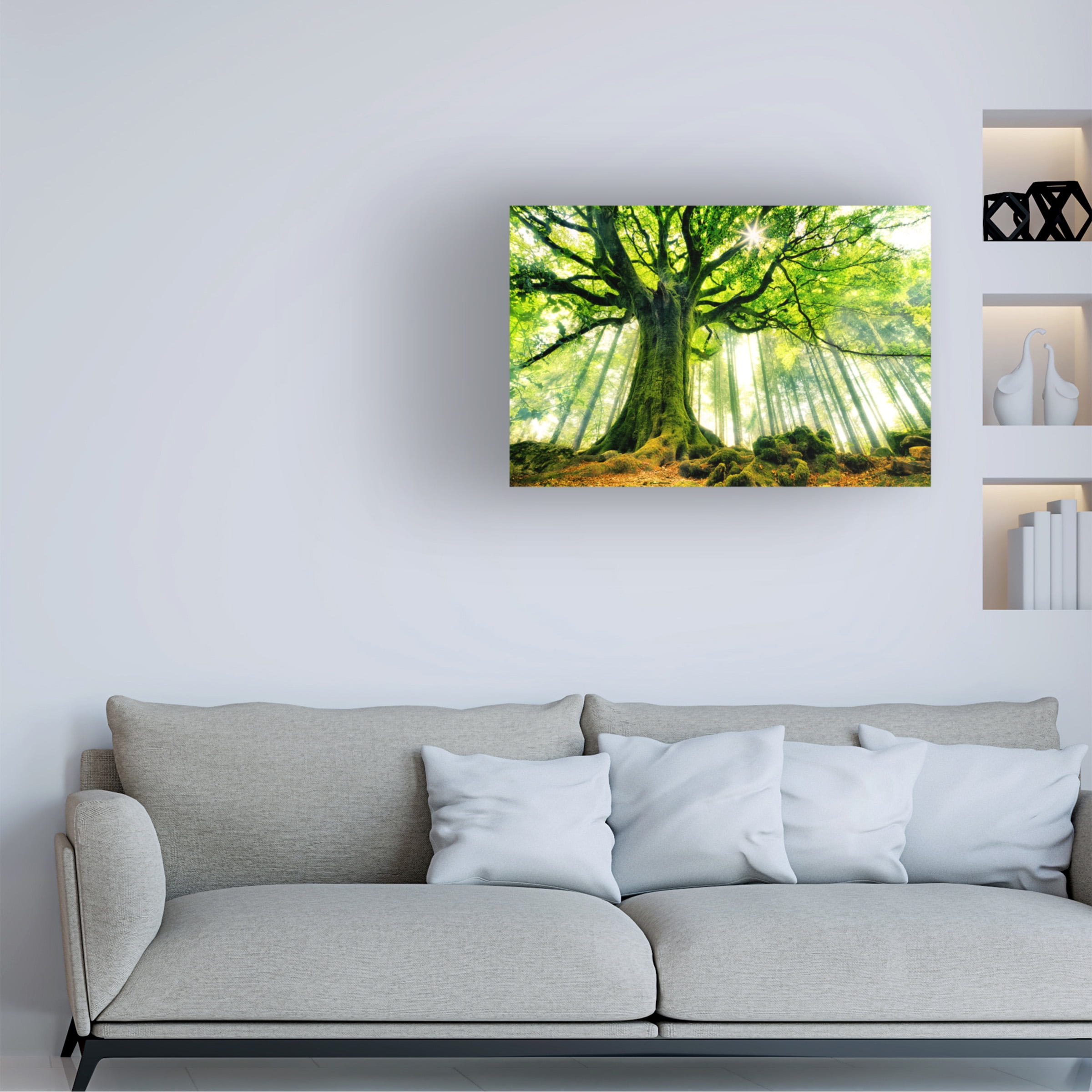 Christophe Kiciak 'Ponthus Beech' Canvas Art