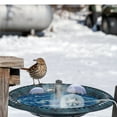 thumbnail image 2 of Teqhome Bird Bath Heater for Outdoors in Winter Birdbath Water Heater 70W Bird Bath Deicer Waterproof Aluminum Thermostatcally Controlled Auto Shut Off, 2 of 11