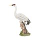 thumbnail image 5 of Estatua de grúa, figura de animal, adorno de resina, escultura de jardín, decoración de patio para 19x8x325 cm, 5 of 9
