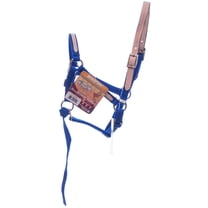 Tough 1 Miniature Nylon Break-Away Halter, Royal Blue, Large