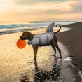 thumbnail image 5 of Chaleco salvavidas para perros para nadar y navegar, chaleco salvavidas ajustable Ripstop para perros con alta flotabilidad y asa de rescate duradera para perros pequeños, medianos y grandes esquí esquí Gafas de esquí, 5 of 5