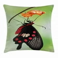 thumbnail image 1 of Swallowtail Butterfly Throw Pillow Cushion Cover, Amazing Moment Coming Out of Cocoon Chrysalis Transformation, Decorative Square Accent Pillow Case, 24 X 24 Inches, Red Black Green, by Ambesonne, 1 of 2