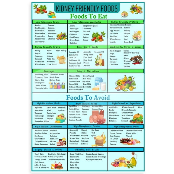 Kidney Friendly Foods Poster Foods To Eat Chart Healthy Diet Guide Poster