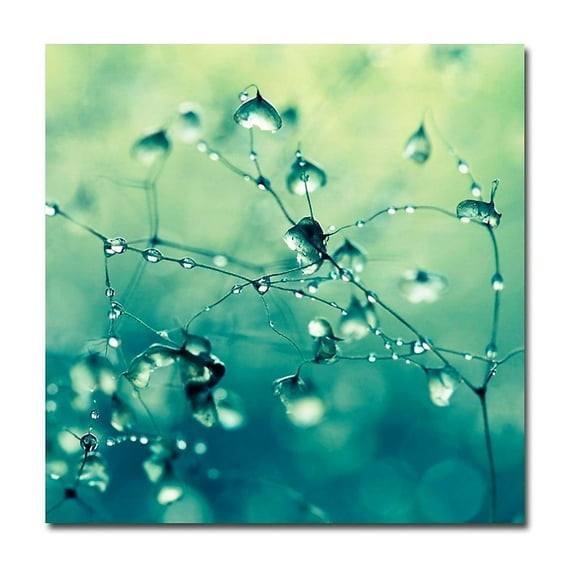 Trademark Fine Art 'Spring Notes' Canvas Art by Beata Czyzowska