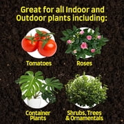 Alaska Fish Fertilizer 5-1-1 Plant Food, 1 gal