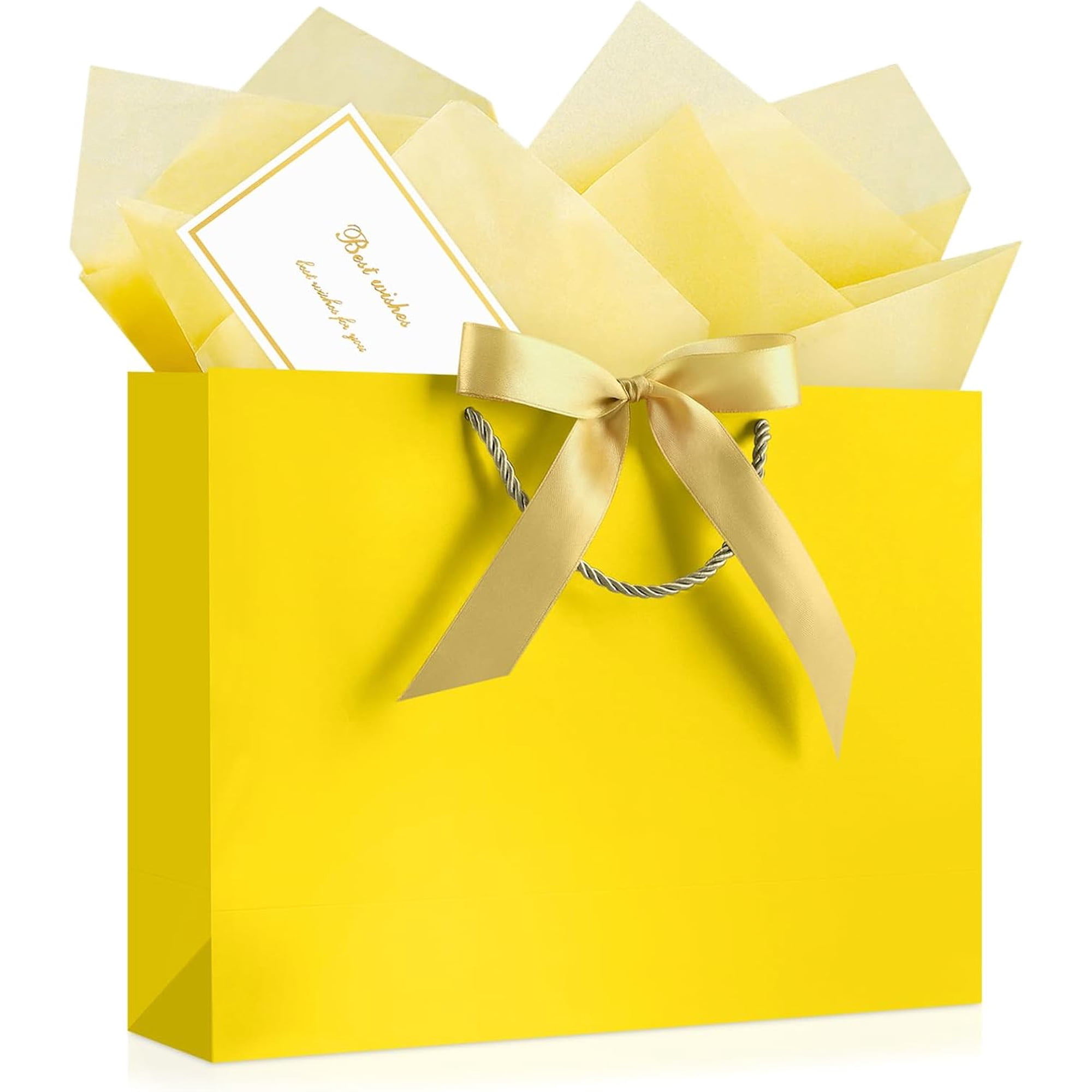 Gift Bags with Handles 13 Medium Tissue Paper