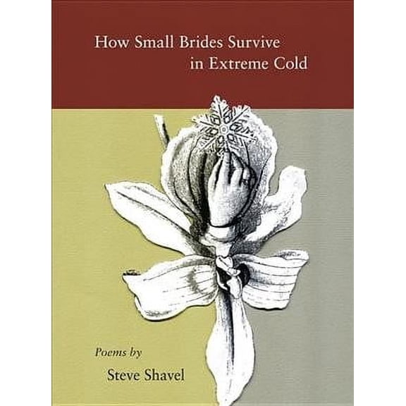 How Small Brides Survive in Extreme Cold (Paperback)