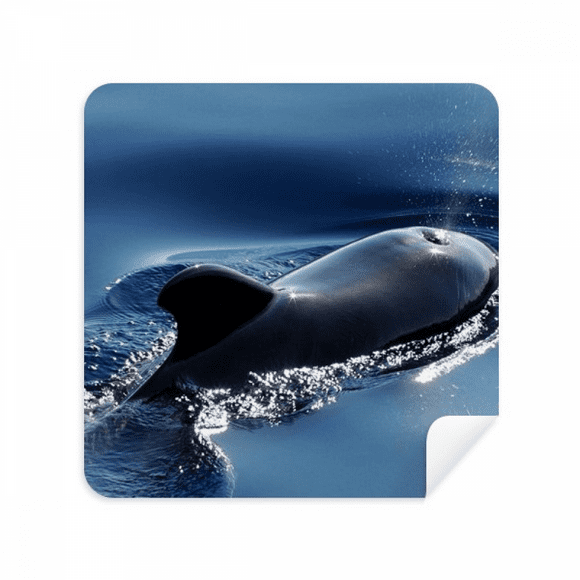 Océan Eau Mer Baleine Science Nature Photo Lunettes Tissu Écran Nettoyeur Daim Tissu 2 Pack