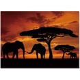 thumbnail image 3 of Sunset Trees Lawn Area Rug, Cloud Elephant Shade Print Carpet, Indoor Non-Slip Rugs Machine Washable Breathable Durable Carpet for Front Entrance Floor Decor 4 x 7ft, 3 of 6