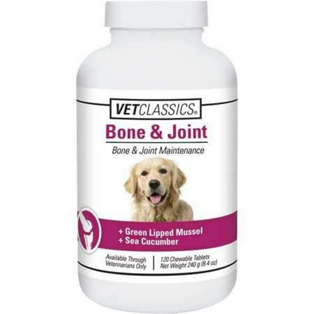 Dog Joint Maintenance Supplement with Green Lipped Mussel Sea Cucumber Supports Healthy Joints Connective Tissue Chewable Tablets 120 Ct