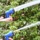 thumbnail image 5 of Manguera de agua de jardín expandible, pistola rociadora, tubos elásticos de cultivo flexibles, tamaño 75 pies, color azul, 5 of 5