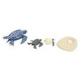 thumbnail image 4 of LAFGUR Simulation Sea Growth Cycle Model Life Cycle Kid Early Educational Toys, 4 of 8