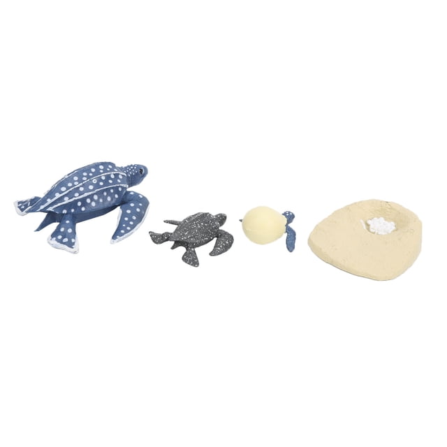 Juguetes de animales marinos figuras de animales marinos de plástico realista para proyectos educativos para regalos de cumpleaños para aprendizaje de ciencias para decoración ANGGREK Otros