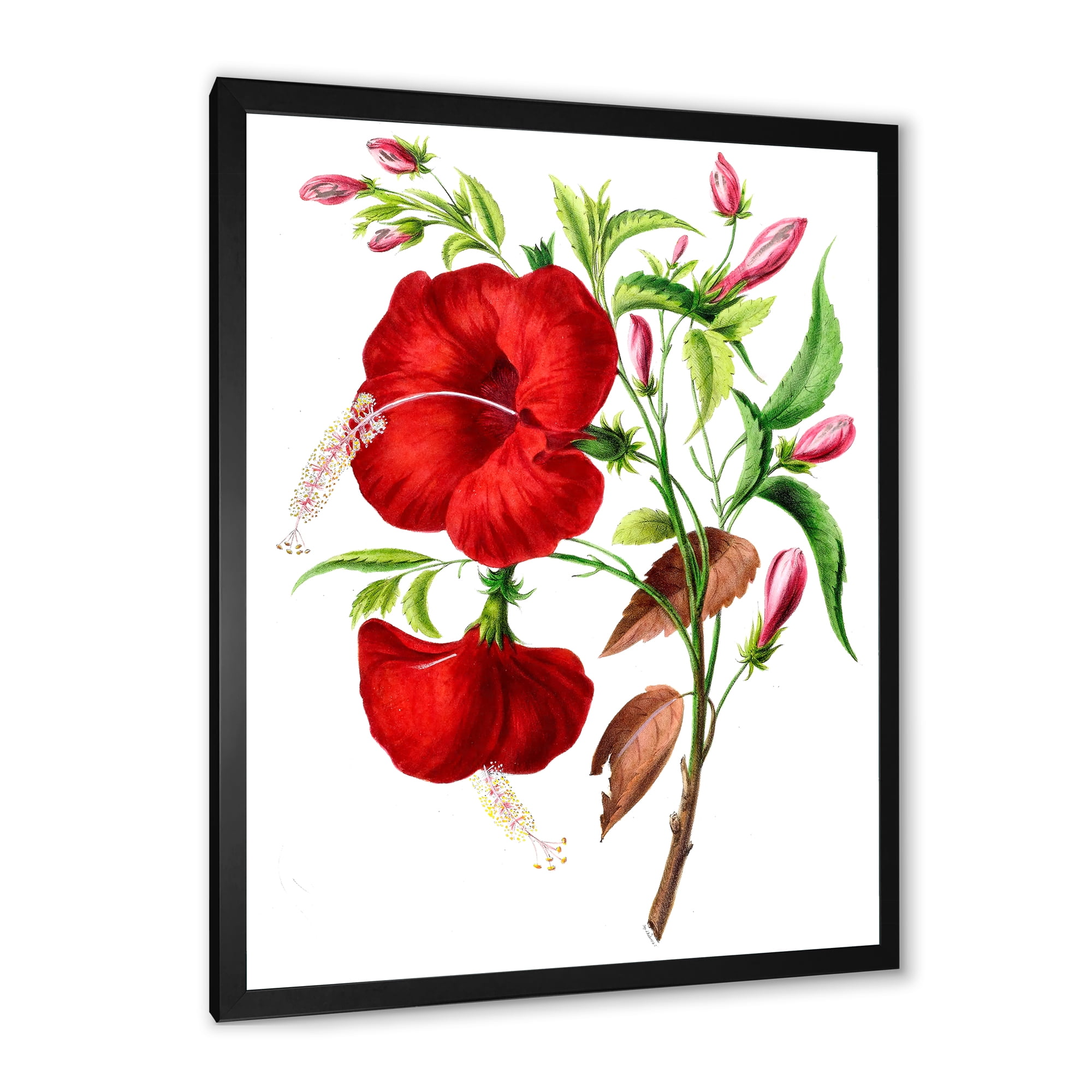 Designart 'Ancient American Flora I' Traditional Framed Art Print
