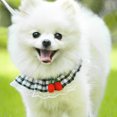 thumbnail image 4 of CSChome Dog Leash 1 Set Pet Traction Rope Stylish Knitted Cherry Trim Plaid Print Dog Leash Durable Traction Supply, 4 of 7