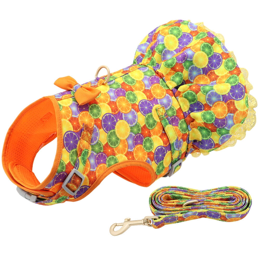 Didog Female Dog Harness Dress and Leash Fancy Small Pet Cat Summer Vest Clothes Yorkie
