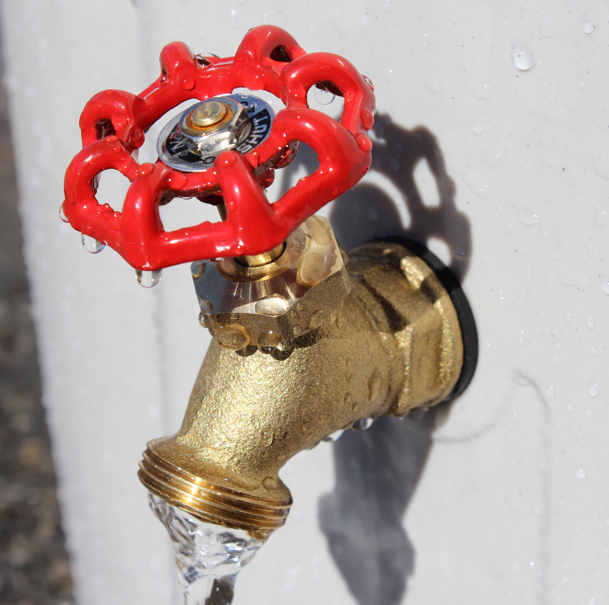 Rain Barrel Rainwater Collection 55 Gal. Mosquito Proof Brass Spigot