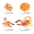 thumbnail image 3 of Simulación diario de escorpión Sunnimix Juego de crecimiento de insectos para niños, 3 of 8