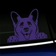 thumbnail image 1 of Peeking Corgi - Vinyl Car Decal - Choose Color - [PURPLE], 1 of 1