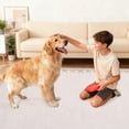 thumbnail image 7 of COZONY 5'x7' Modern Bordered Area Rug, Soft Washable Low Pile Carpet for Living Room or Bedroom, Non-Slip, Beige, 7 of 7