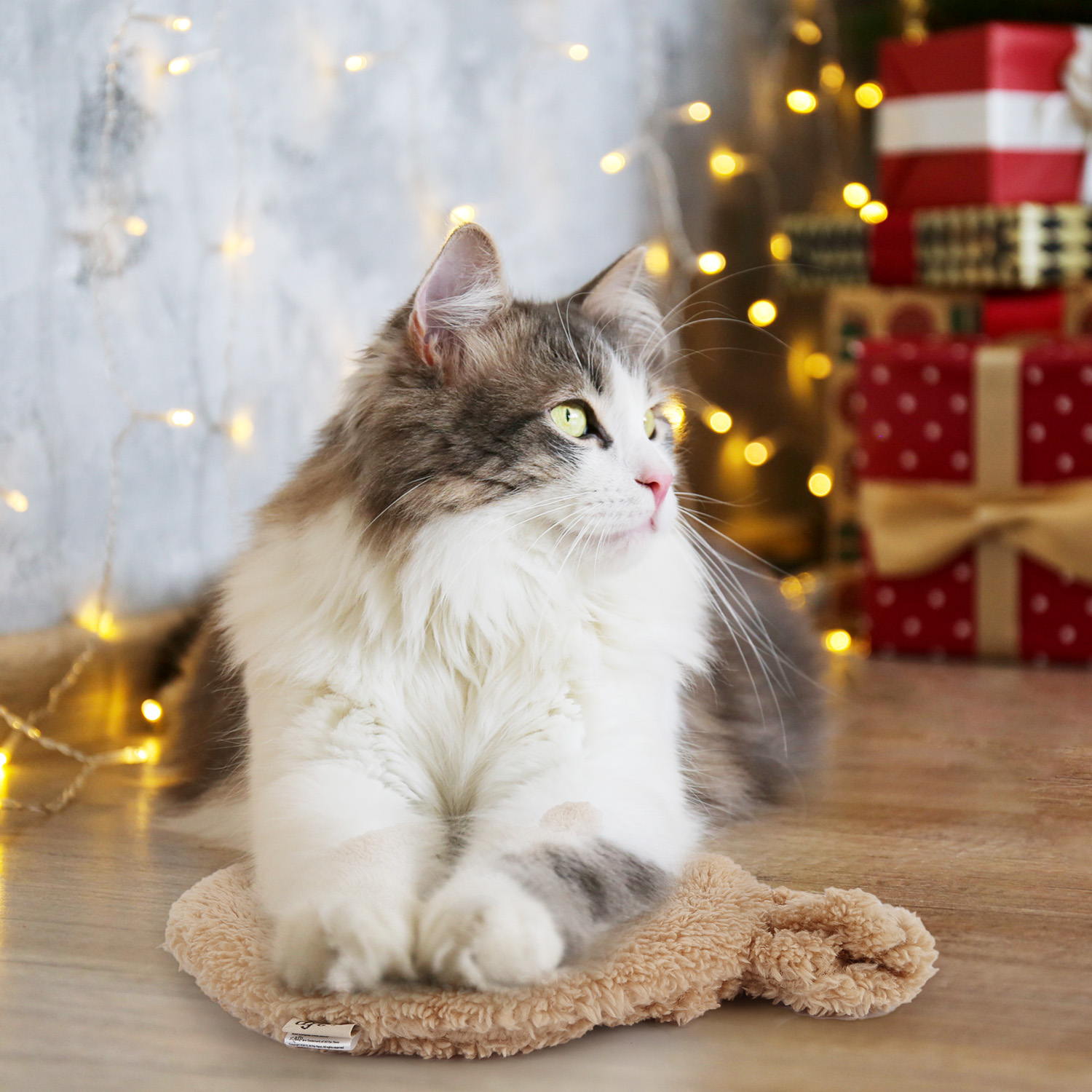 All For Paws Heated Cat Bed Indoor, Microwavable Heating Pads for Kitties, Puppies & Small Pets, Non-Electric Heating Dog Bed with 2 Washable Fleece Covers