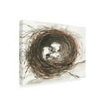 thumbnail image 2 of Samuel Dixon 'Nesting Eggs III' Canvas Art, 2 of 3
