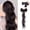 Black, variant on Women's Bow Ponytail Hair Wigs - High Curly Half-Tied Hairpiece with Chic Feather Design for Trendy Styles