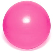 Everlast Stability Ball Pro