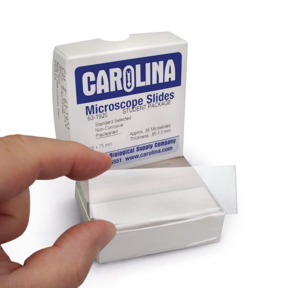 Carolina Microscope Slide, Glass, Standard, 25 X 75 Mm, 1.1-1.8 Mm, Box Of 36