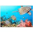 thumbnail image 1 of Turtle Ceramic Tile Mural Kitchen Backsplash Bathroom Shower, 402929-M64, 1 of 9