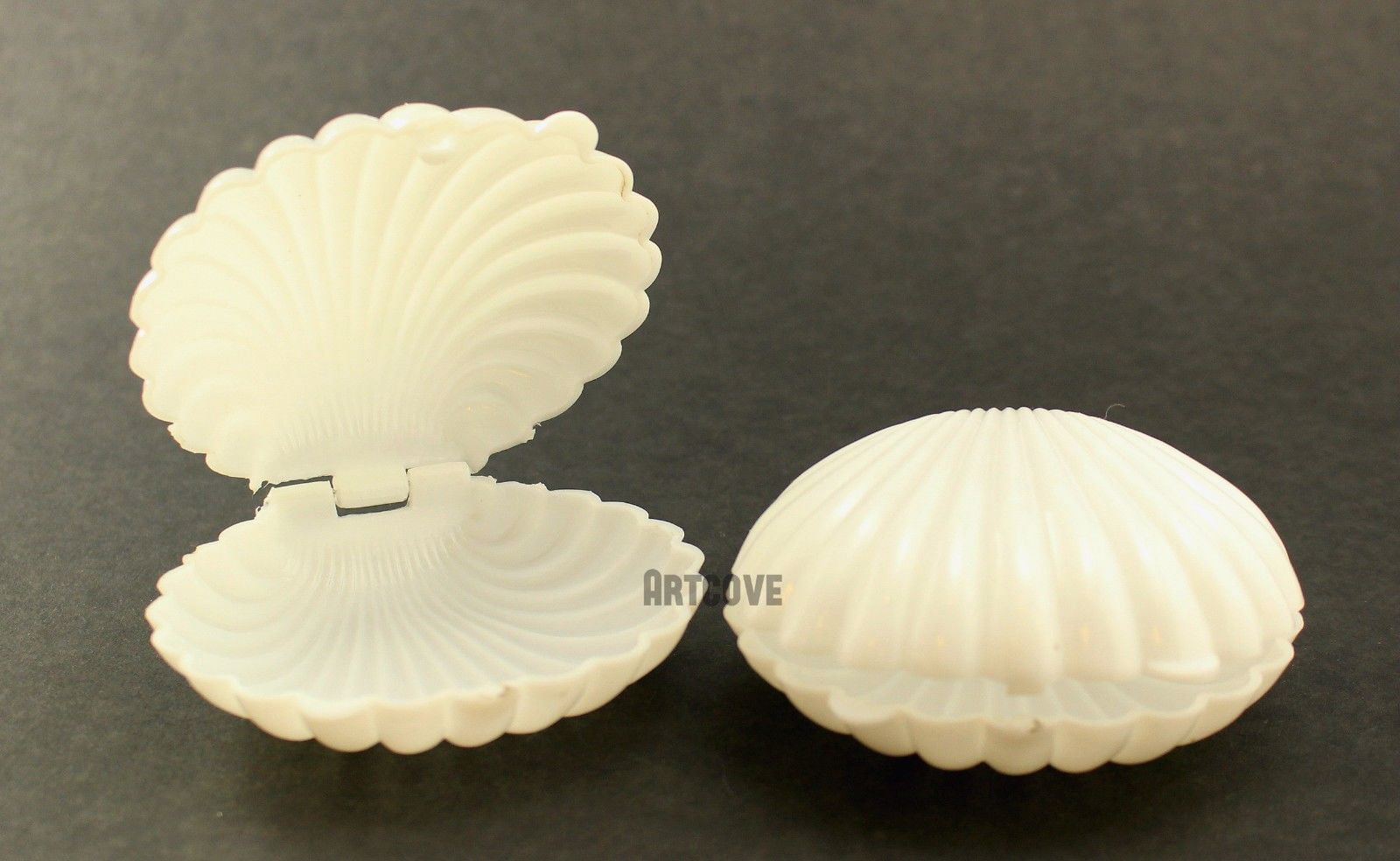 3.5 Inch White Plastic Seashell Clam Shell Party Favors Bulk 12