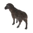 thumbnail image 3 of Xingzhi Realistic Plastic Animal Figure Simualtion Model Toys Black Sheep, 3 of 5