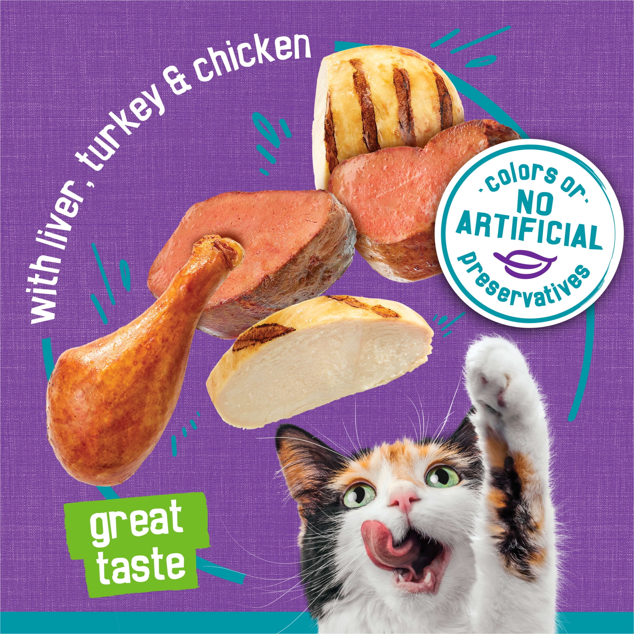 Purina Friskies Tasty Treasures Pate Turkey and Chicken Wet Cat Food 5.5 oz Cans 24 Pack Walmart