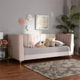 thumbnail image 6 of Bowery Hill Modern Velvet Upholstered and Gold Finished Twin Size Daybed in Pink, 6 of 7