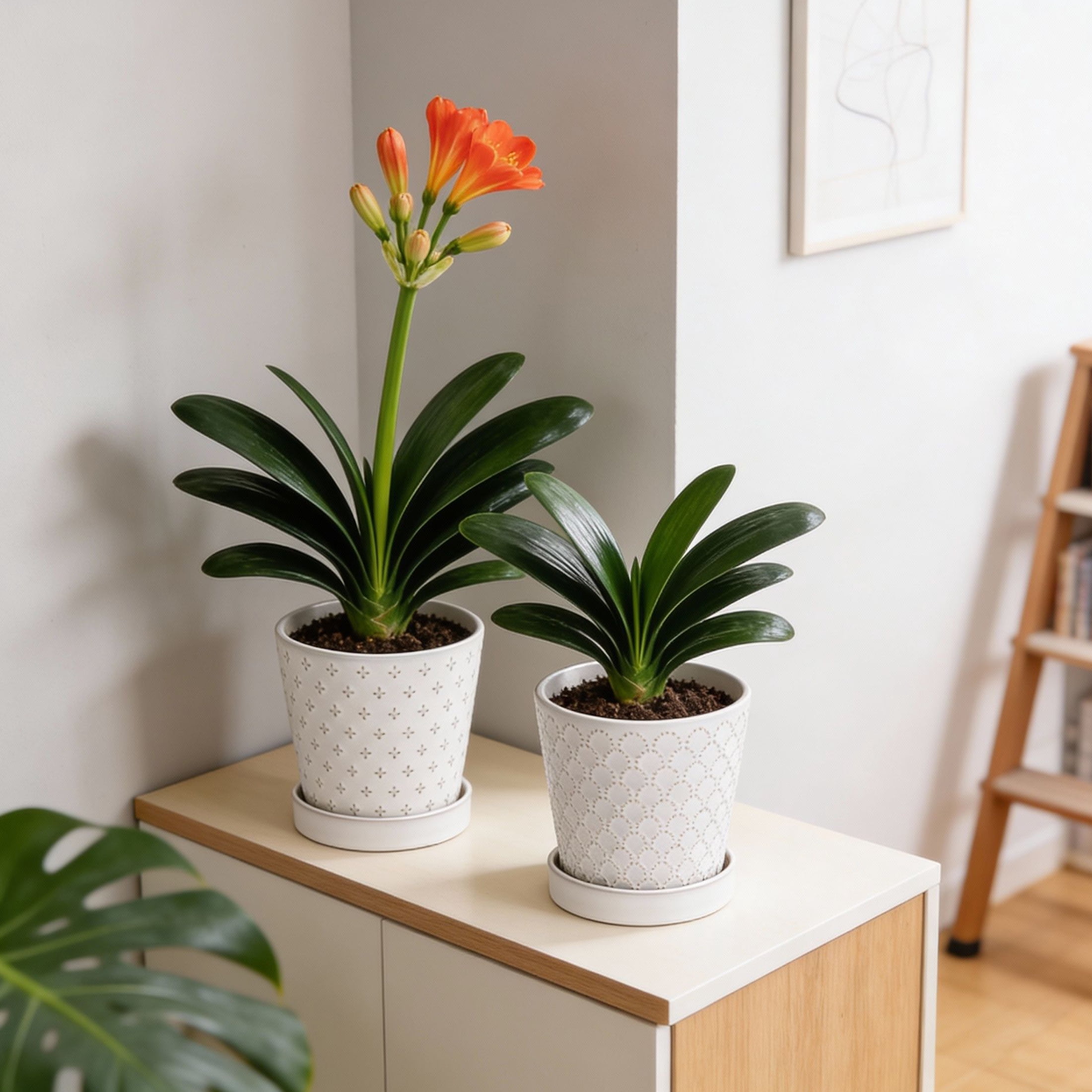 EFISPSS 5 inch White Ceramic Plant Pots with Drainage Holes and Tray, 4-Pack Indoor Flower Pots for Herbs, Cactus, Home & Office Decor