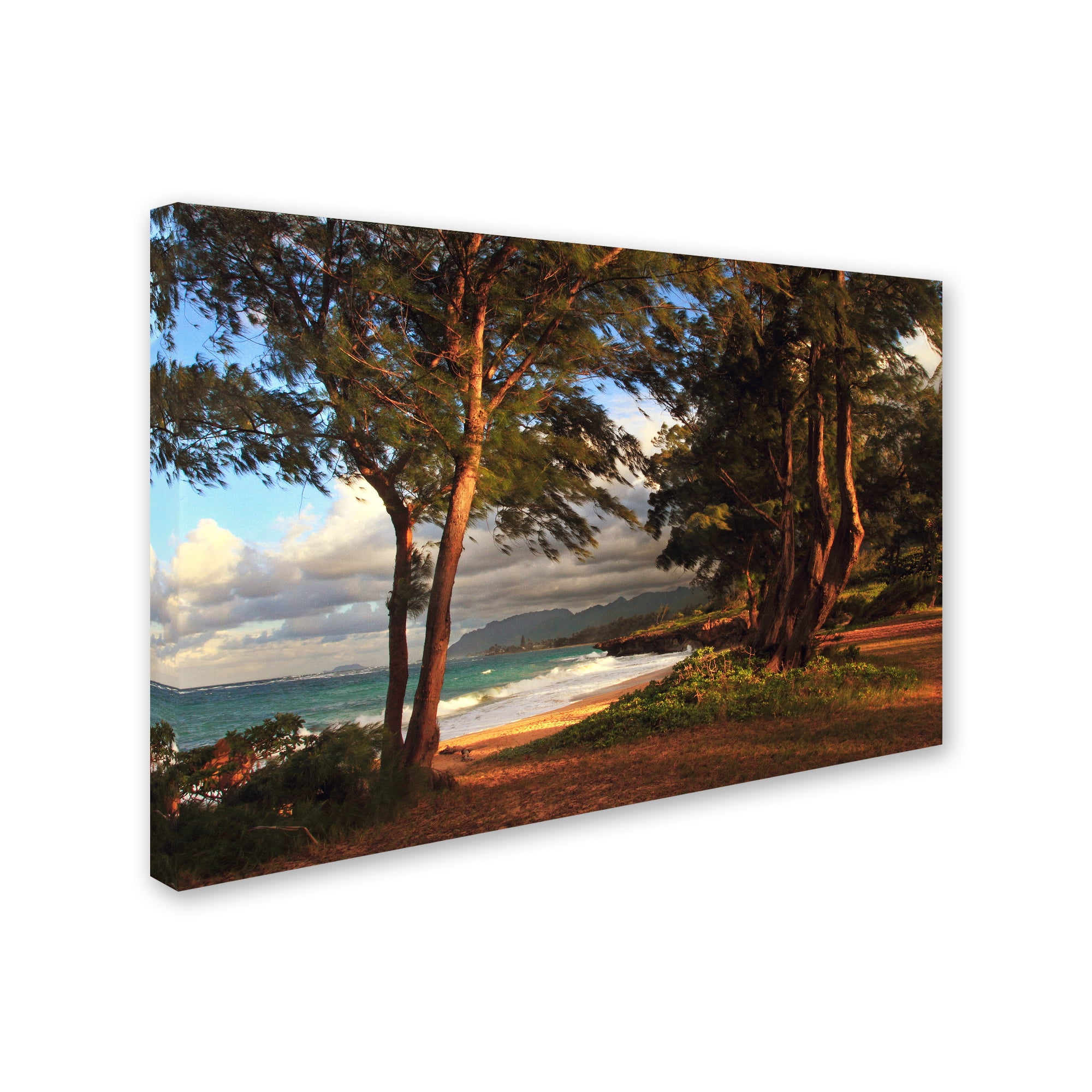 Trademark Fine Art "Hawaii 5" Canvas Art by Jason Shaffer