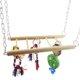 thumbnail image 1 of Labymos Bird Hanging Ladder Bird Swing Toys, 1 of 5