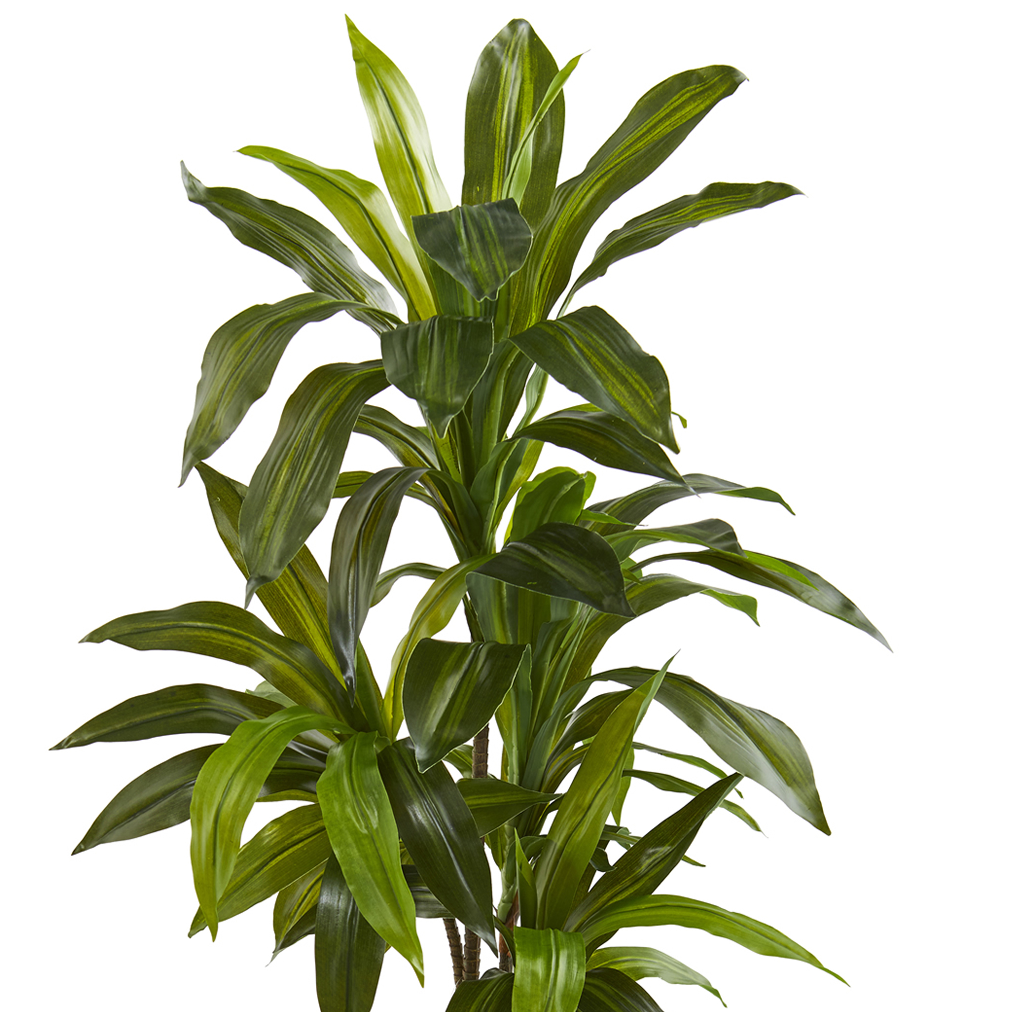 Nearly Natural 46" Dracaena Artificial Plant in White Planter (Real Touch), Green