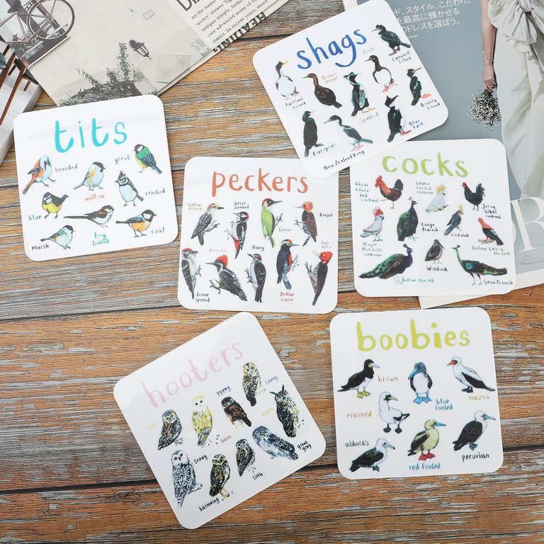 Garhelper Bird Pun Coasters,6pcs Acrylic quare Coaster Set for