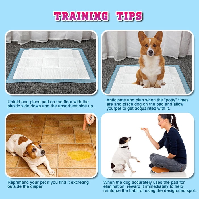 How To Train Dog To Poop On Pee Pad