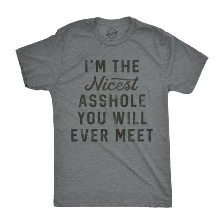 Mens I'm The Nicest A-Hole You Will Ever Meet Tshirt Funny Insult Tee For (Best Insults For Guys)