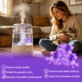 thumbnail image 5 of Arcticwind 15 Pack Humidifier Cleaning Fish, Humidifier Cleaner for Humidifiers and Fish Tanks, Purifies Water, Prevents Hard Water Build-Up, Reduces Scale,Purple, 5 of 6