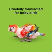 Kaytee Exact Handfeeding for Baby Birds 7.5 ounces