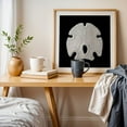 thumbnail image 5 of Keyhole Sand Dollar - Photography Marine Life Beach Nautical Coastal Aquatic Seaside Ocean Unframed Wall Art Print 30 x 30 inches, 5 of 9