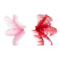 thumbnail image 2 of 20 Pcs Natural Ostrich Feathers Wedding Decoration 20-25cm,, 2 of 8